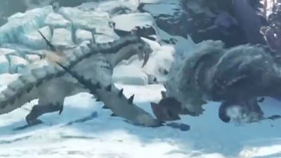 ベリオロスとバフバロの縄張り争い